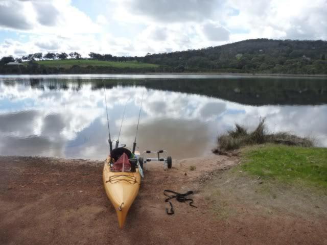 Kalgan River Chalets And Caravan Park Esterno foto