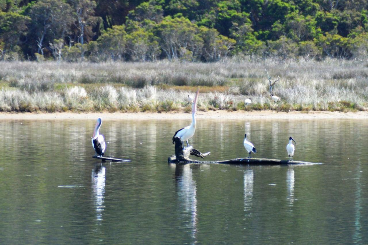 Kalgan River Chalets And Caravan Park Esterno foto